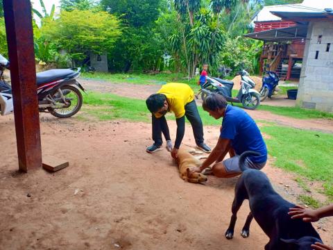 กิจกรรมฉีดวัคซีนป้องกันโรคพิษสุนัขบ้าให้แก่สุนัขและแมว ในเขตพื้นที่ให้บริการขององค์การบริหารส่วนตำบลนางรอง